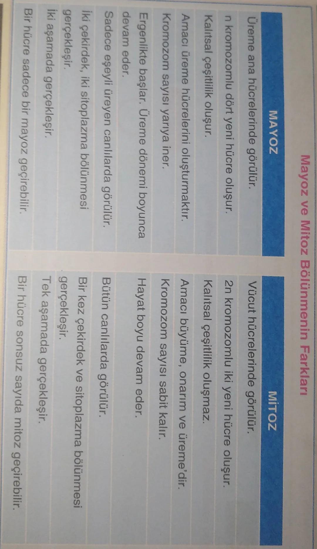 Mitoz ve mayoz bölünmenin farkı 7. Sınıf