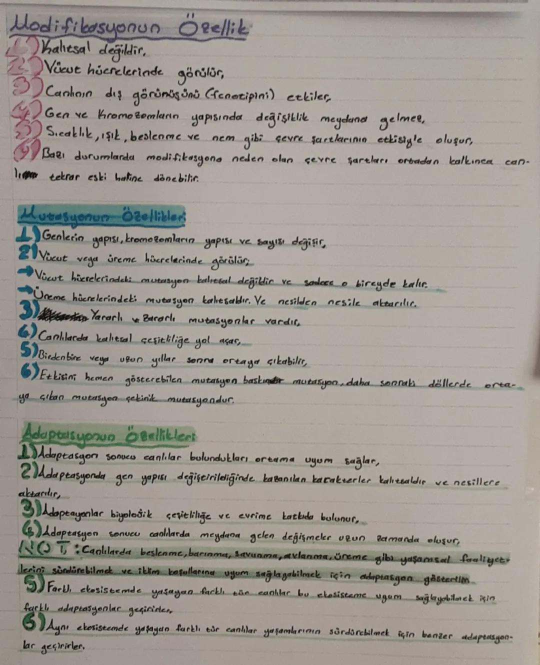 Fen bilimleri 8.sınıf 2.ünite modifikasyon,mutasyon ve adaptasyon konusu özellikler ve farkları