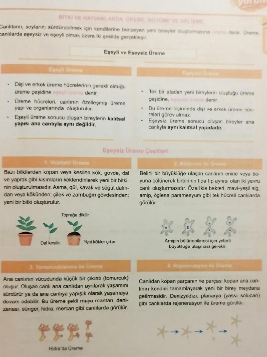 # BİTKİ VE HAYVANLARDA ÜREME, BÜYÜME VE GELİŞME
Canlıların, soylarını sürdürebilmek için kendilerine benzeyen yeni bireyler oluşturmasına c