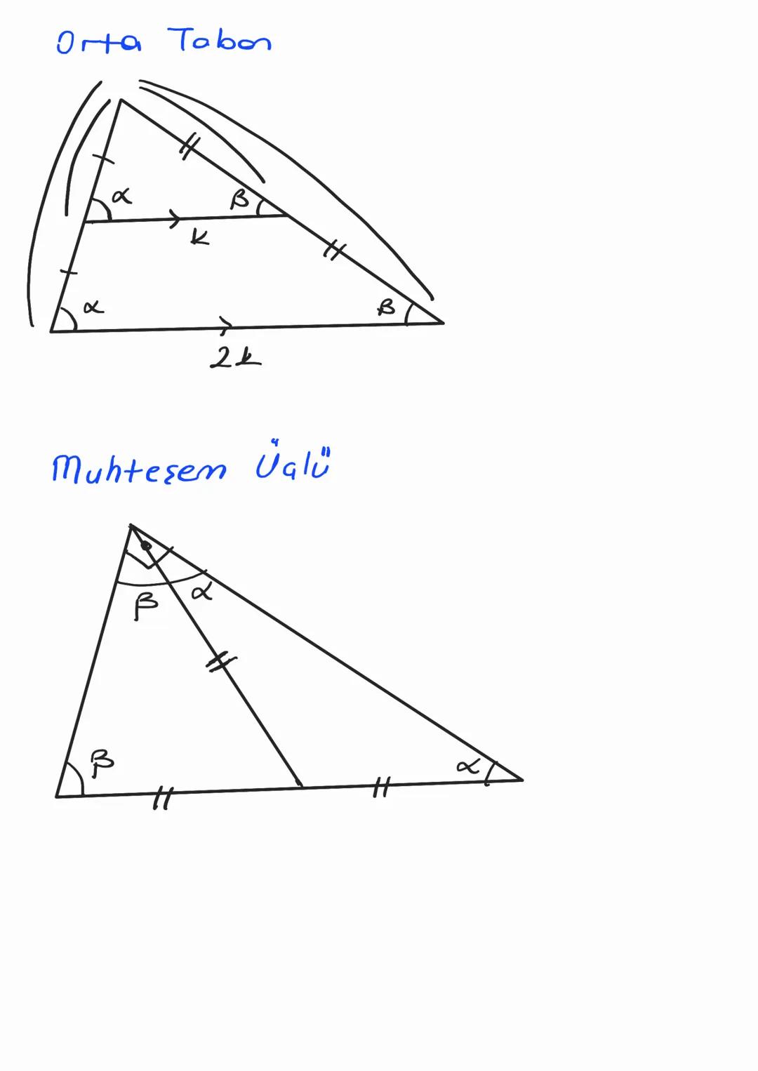 TIGGENDE AGIL
→α + B +2=180
> a+b+c =360
В
Ө
x+B=C
x+9=b
B+2=9
Agiortay Kuralları
Aucortay: Aaly, iki es porçaya böler.
A
B
C
сос, дов adisi