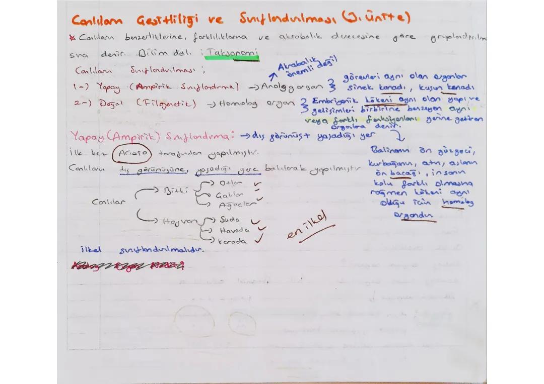 9. Sınıf biyoloji canlıların sınıflandırılması ve yöntemi
