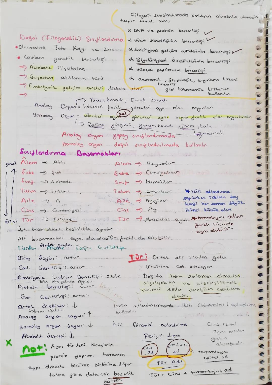 Conlilarn Gesitliliği ve
Suflondvilmasi (. Ünite)
* Canlıların benzerliklerine, farklılıklarna
Sha
denis. Bilim dal. : Taksonomi
Canlılar
Su