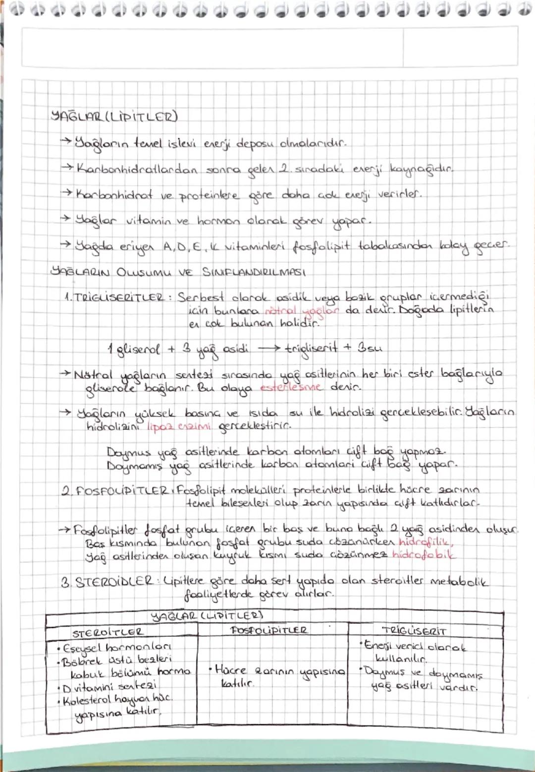 YAĞLAR (LIPITLER)
→ Yağların temel islevi enerji deposu olmalarıdır.
Karbonhidratlardan sonra geler 2. sıradaki enerji kaynağıdır.
→ Karbonh