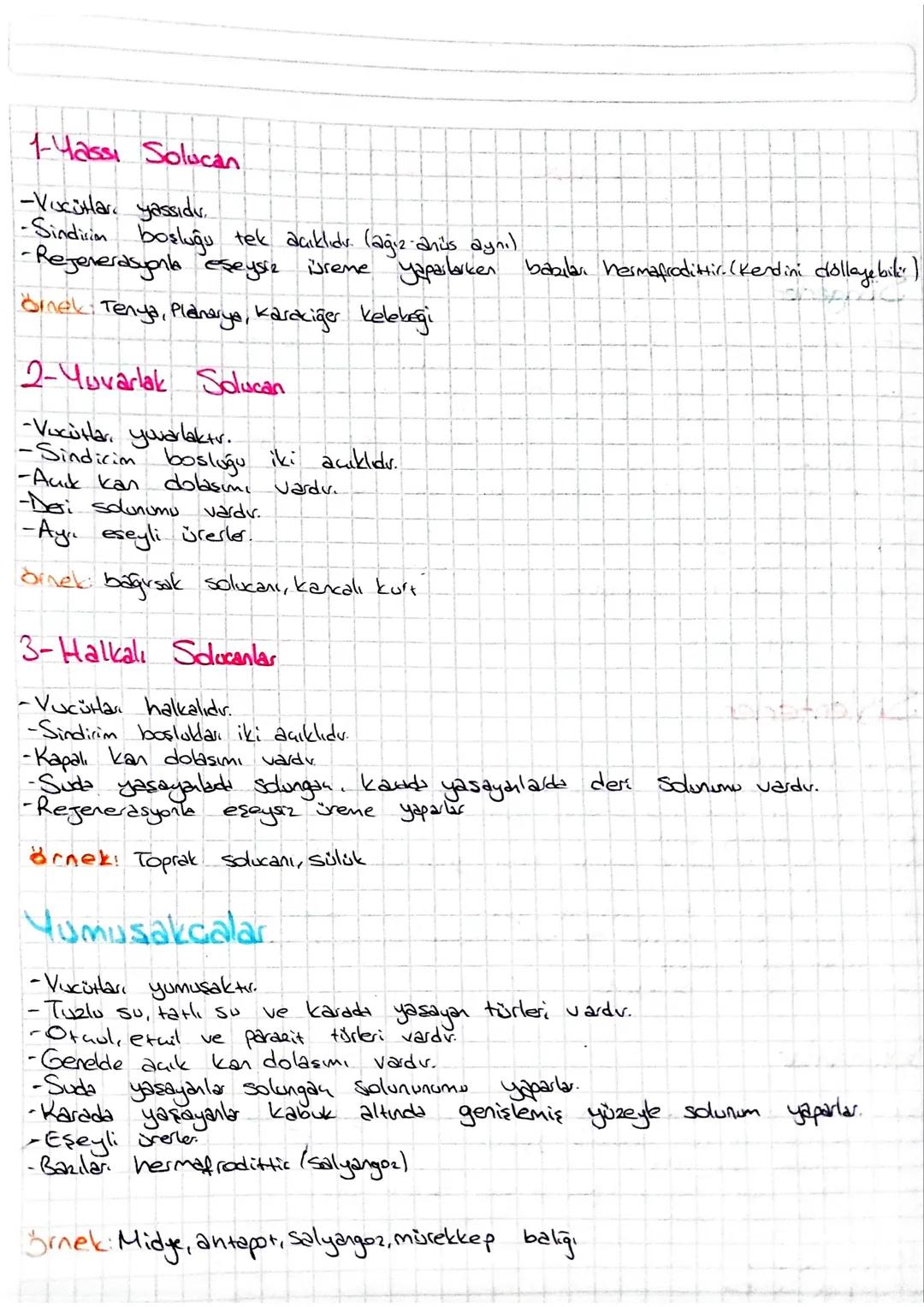 Omurgasız Hayvanlar
Süngerler
-En basit yapılı hayvanlardır. (Organ ve sisten oluşumu gözlenleremer)
- Vucul torba, kadah veya vazo şeklind