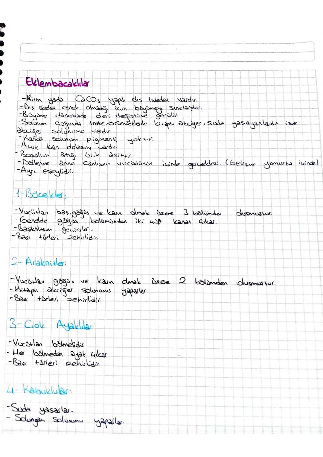Omurgasız Hayvanlar
Süngerler
-En basit yapılı hayvanlardır. (Organ ve sisten oluşumu gözlenleremer)
- Vucul torba, kadah veya vazo şeklind