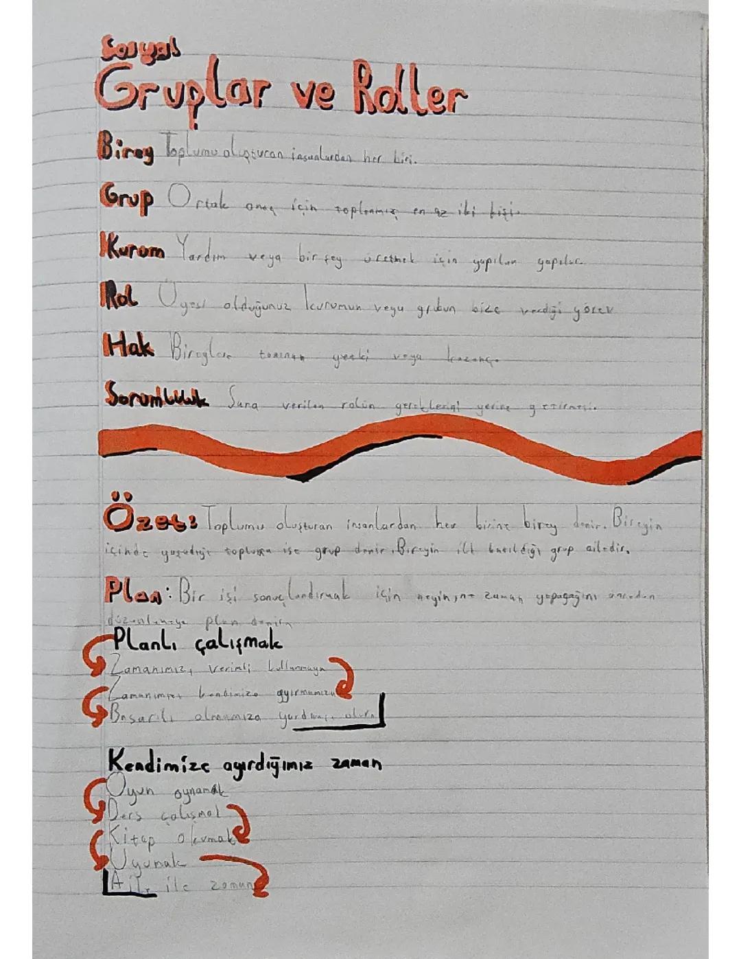 Sosyal Gruplar ve Roller