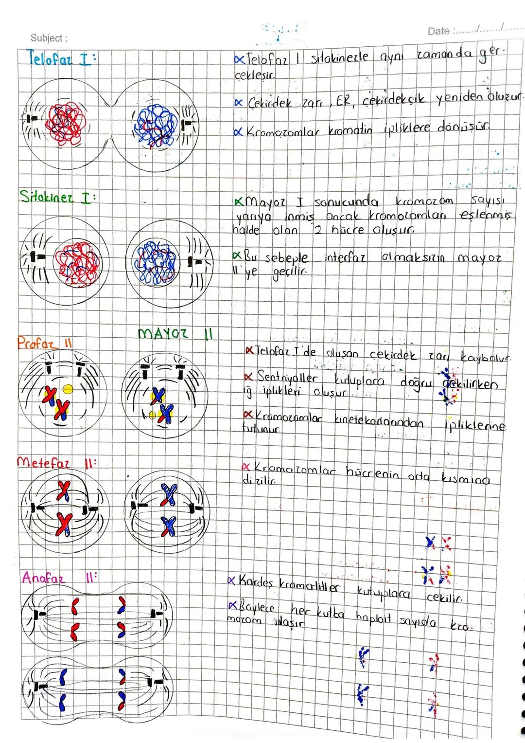 Subject:
MiToz
BOLÜNME
Date :..........
*Canlılığın devami hiscre bölünmesine bağlıdır.
× Belirli gelisim evrelerinden geçerek olgunlaşan bi