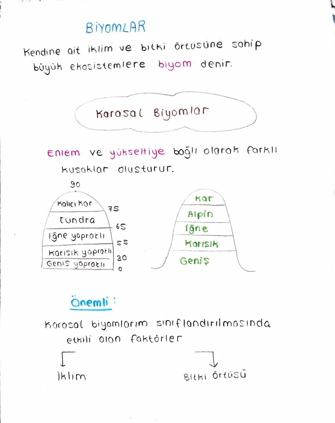 BiyoMLAR
Kendine ait iklim ve bitki örtüsüne sahip
büyük ekosistemlere biyom denir.
Karasal Biyomlar
Eniem ve yükseltiye bağlı olarak farklı