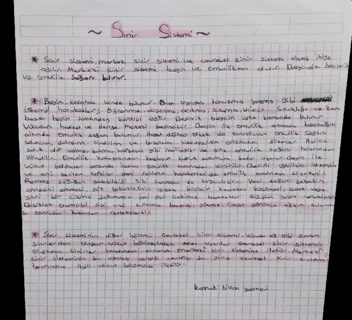 ~ Sinir Sistemi ~
* Sinir Sistemi, merkezi sinir sistemi ve çevresel sinir sistemi olarak ikiye ayrılır. Merkezi sinir sistemi beyin ve omu