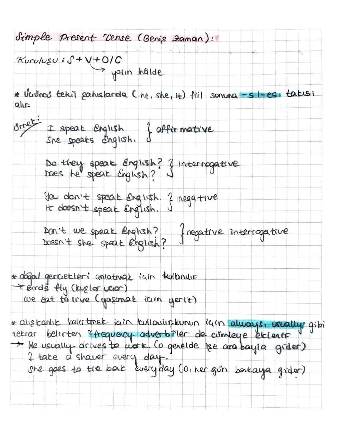 SİMPLE PRESENT TENSE