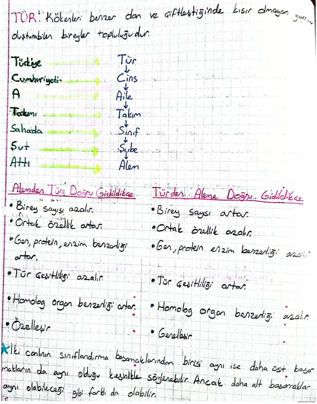 # Canlıların, Geşitliliği ve Sınıflandırılması
Canlıların sahip olduğu özelliklerin incelenerek bunlara göre gruplan
drılmasına sınıflandır