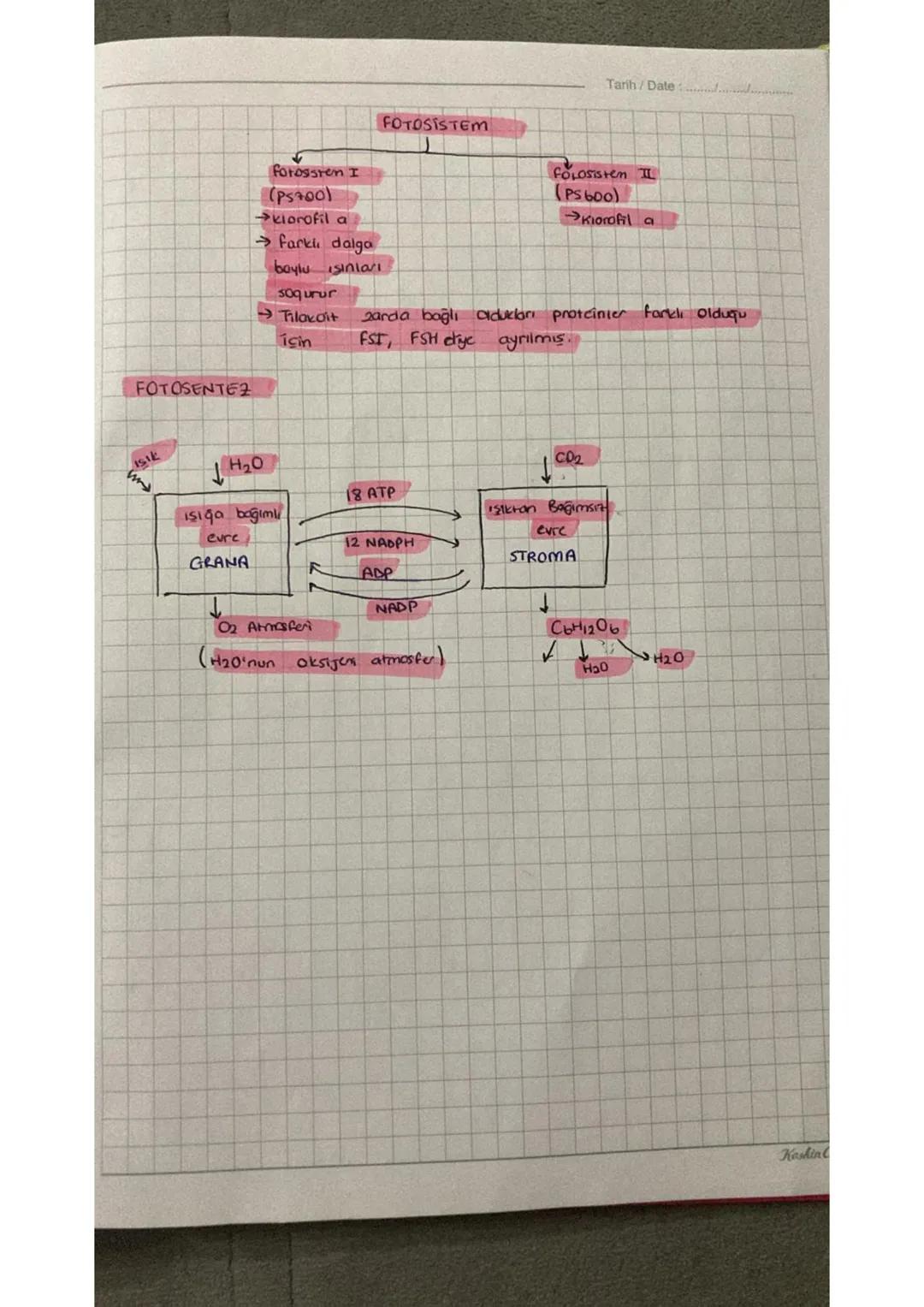 Tarih/Date:..........
FOTOSENTEZ
inorganik maddelerda
Işık ve krojo for
kullanılarak
organik madde uretmek
6c02 +6H20
C6H1206 + 602
norganik