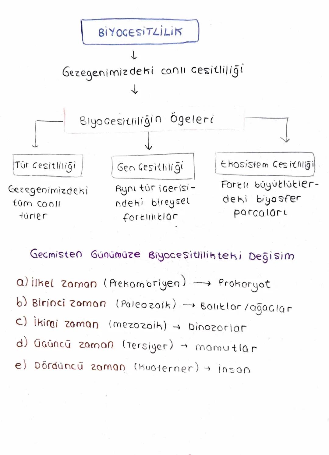 BIYOGESITLILIK
↓
Gezegenimizdeki canlı çeşitliliği
Biyo Gesitliliğin ögeleri
Tür Cesitliliği
Gen Gesitliliği
Ekosistem Gesitliği
Gezegenimiz