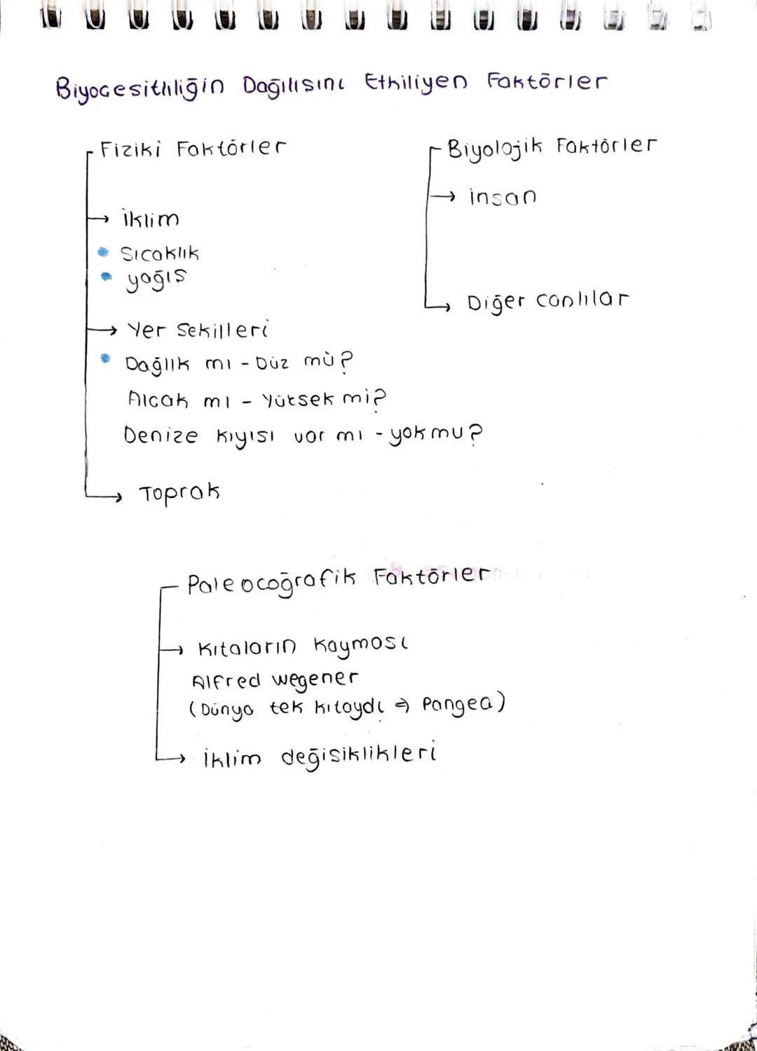 BIYOGESITLILIK
↓
Gezegenimizdeki canlı çeşitliliği
Biyo Gesitliliğin ögeleri
Tür Cesitliliği
Gen Gesitliliği
Ekosistem Gesitliği
Gezegenimiz