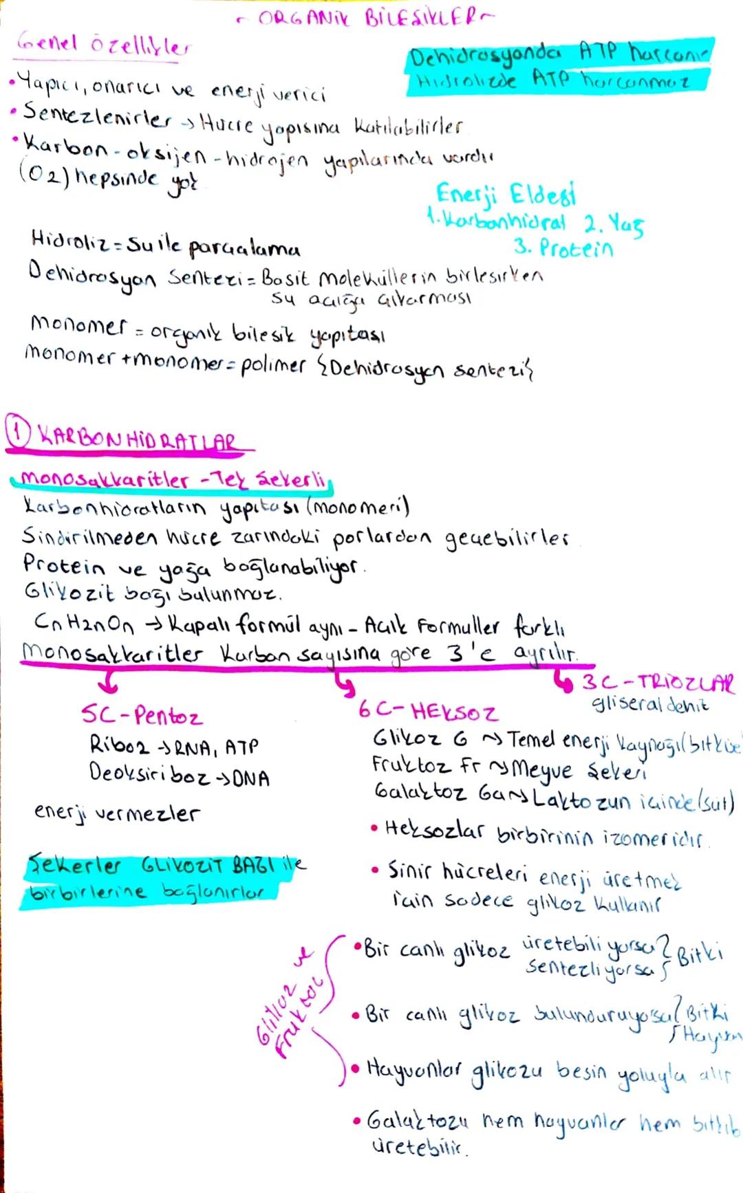 Tyt Biyoloji Ünite İnorganik bileşikler 1 karbonhidratlar konu anlatımı