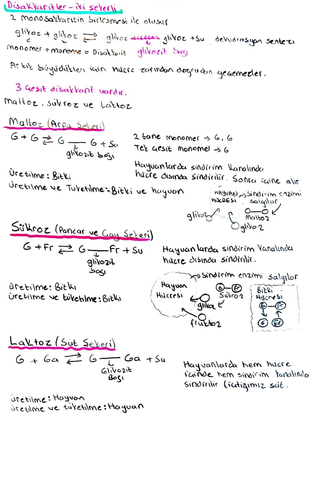 - ORGANIK BİLESİKLER
Genel özellikler
Dehidrosyonda ATP harcani
Hidrolizde ATP harcanmoz
•Yapıcı, onarıcı ve enerji verici
•Sentezlenirler
