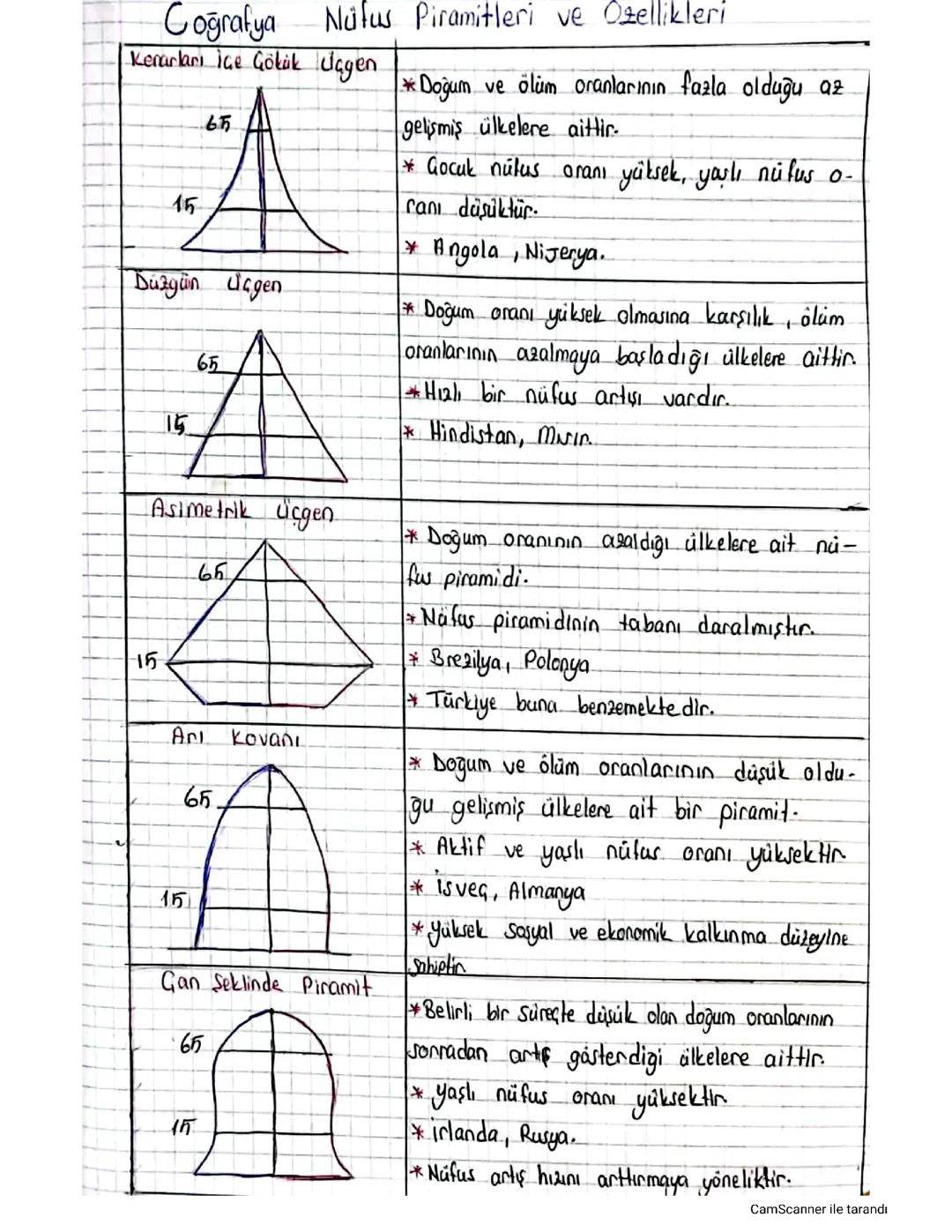 Nüfus piramitleri ve özellikleri