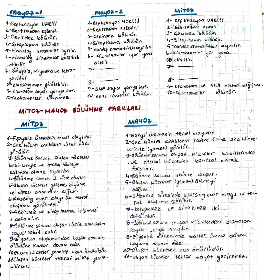 Mitoz-Mayoz Bölünme Farkı