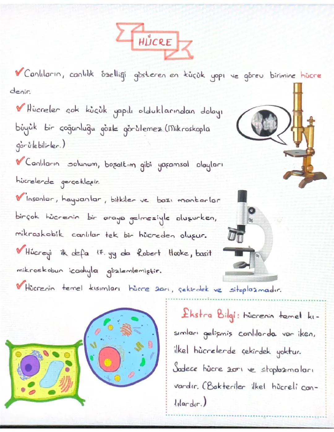 7. sınıf Fen Bilimleri ~HÜCRE~