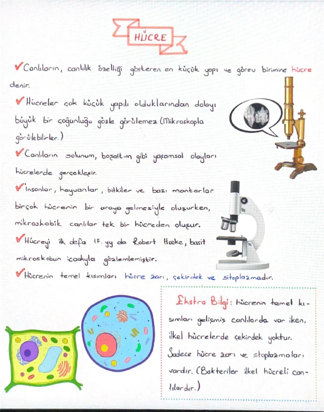 ΣHÚC
HÜCRE
K
Canlıların, canlılık özelliği gösteren en küçük yapı ve görev birimine hücre
denir.
Hücreler çok küçük yapılı olduklarından dol