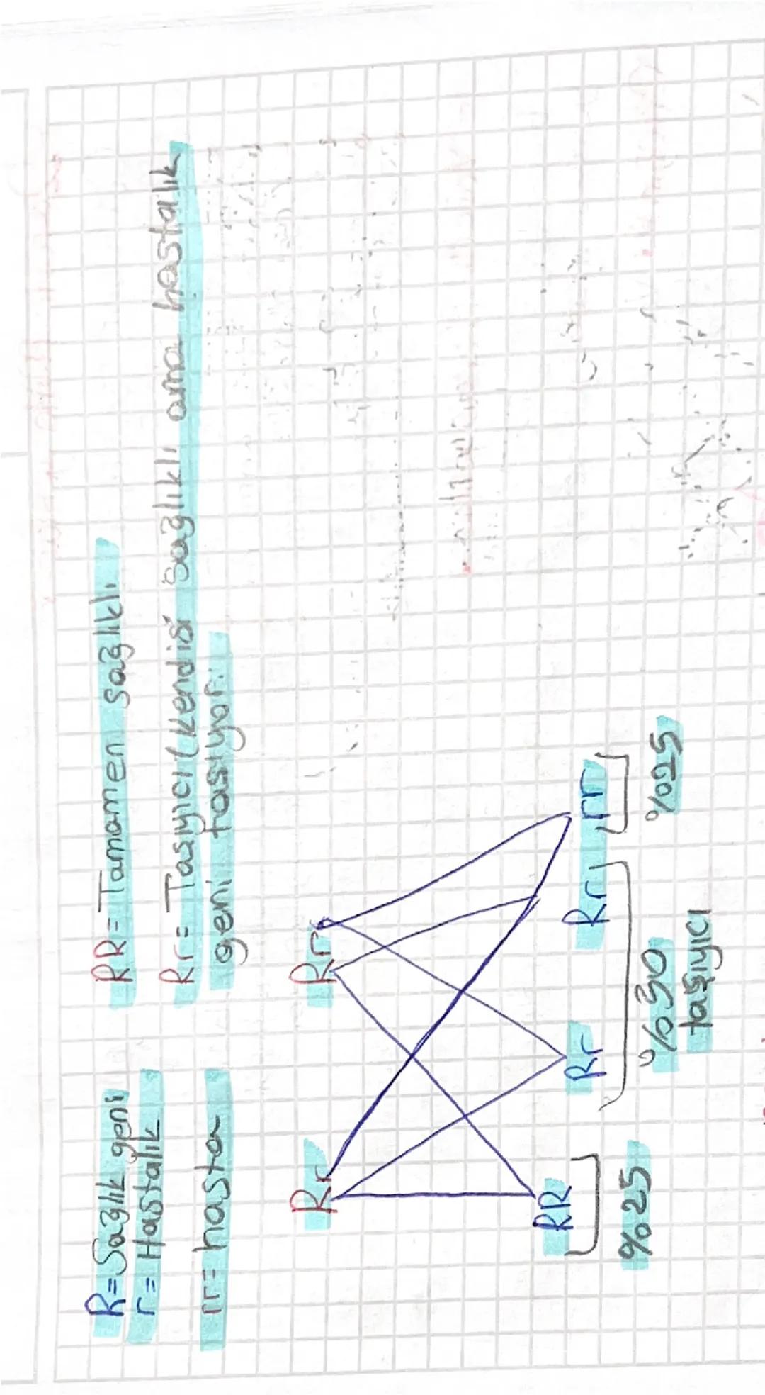 - insanlarda Cinsiyet Belirleme-
Disi
44 + xx
Erkek
44+xy
uvcut eşey kromozon
Kromo 203
↳22+x
22ty &
44+xy
XX
XX Xy
Kiz erkekek
% 50