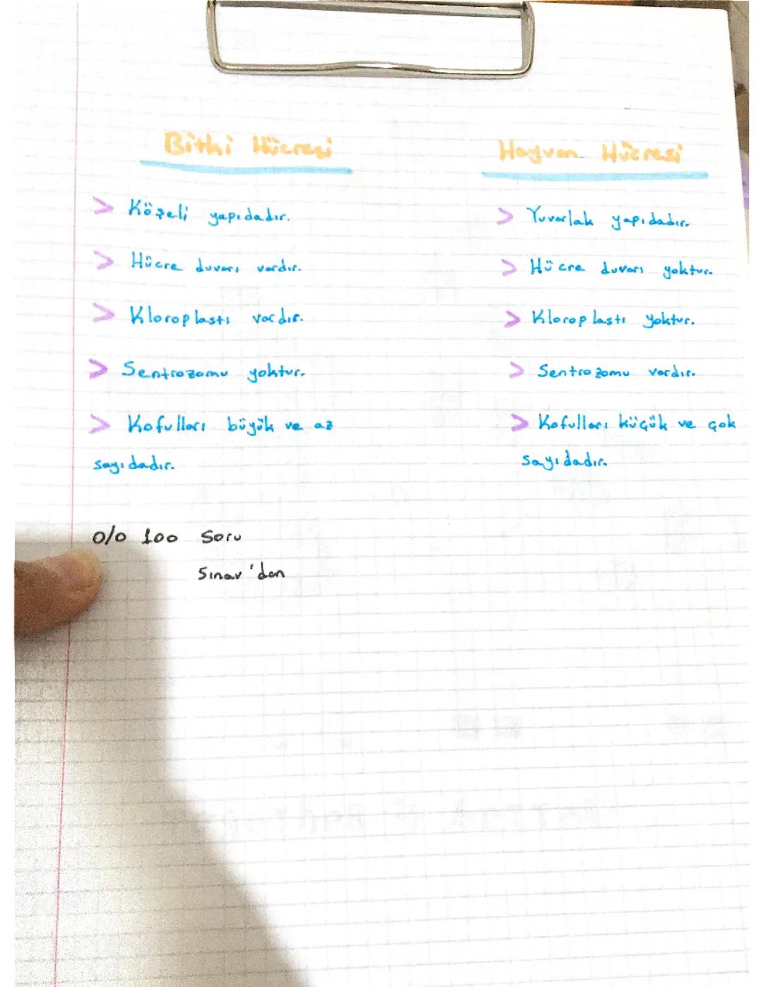 Bitki Hücresi ve Hayvan Hücresi: Temel Farklar ve Özellikler