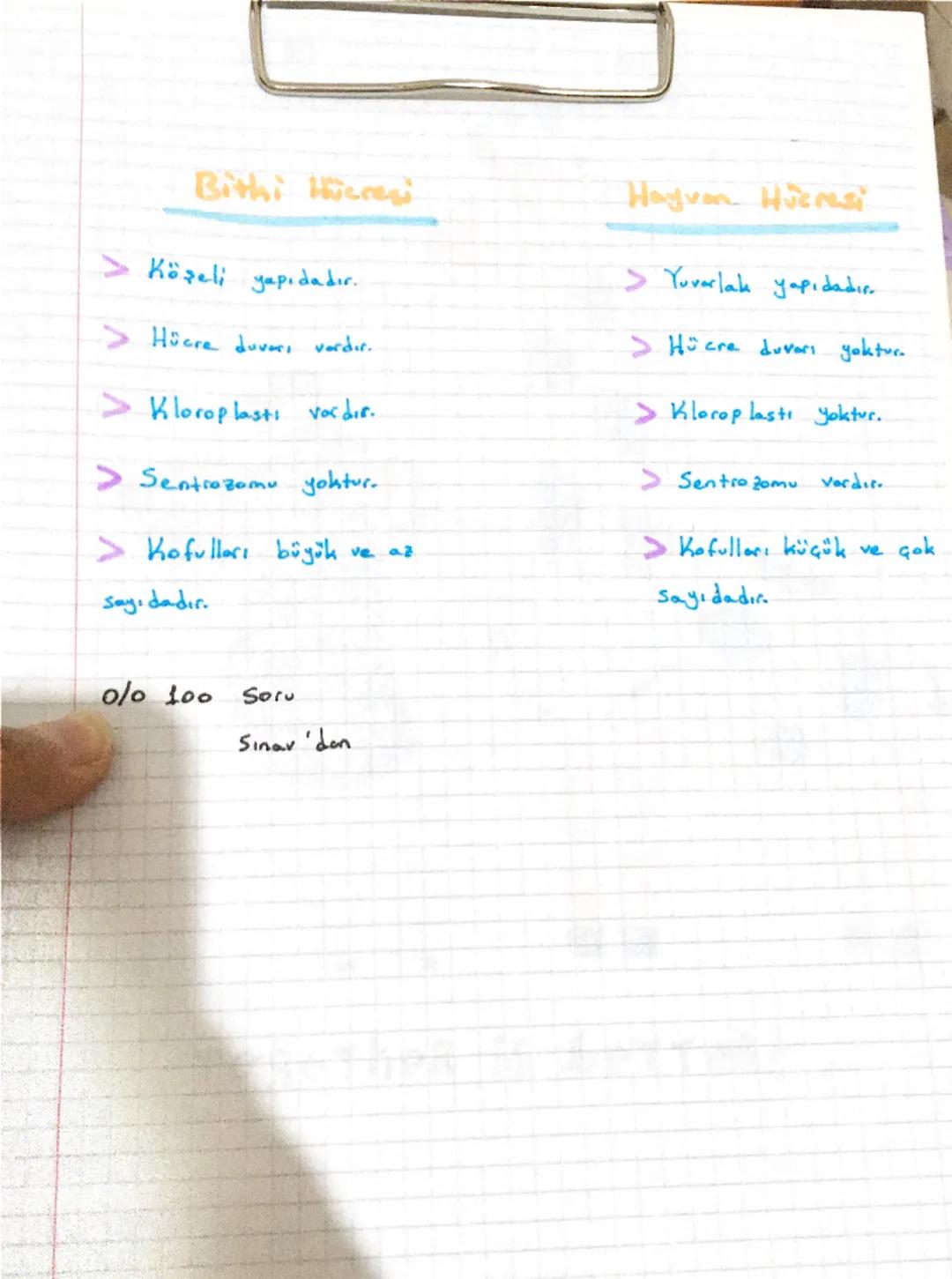 Bithi Hieresi
Köşeli yapıdadır.
> Hücre duvars vardır.
> Kloroplasti vardır..
> Sentrozamu yoktur.
> Kofulları büyük ve az
Sayıdadır.
Hayvan