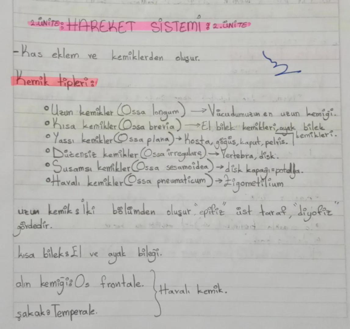 &
NITE HAREKET SİSTEMİ 2. ÜNİTE
-Kas eklem ve.
Kemik tipleri ::
9
9
0
kemiklerden oluşur.
Uzun kemikler (Ossa longum) Vācudumuzun en uzun ke