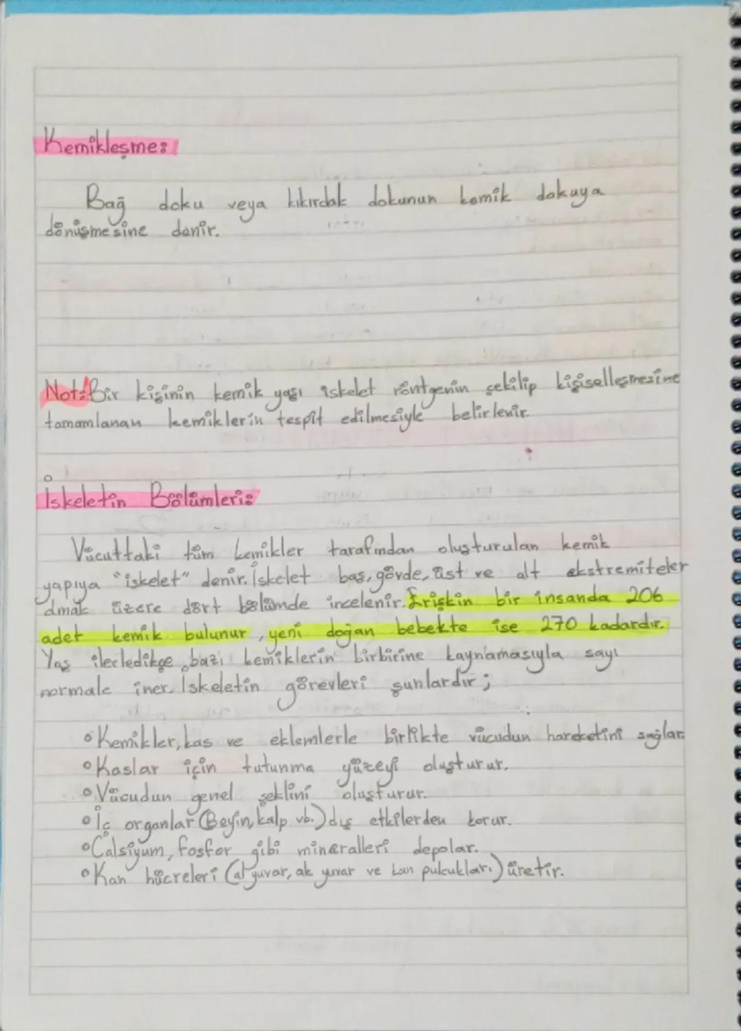 &
NITE HAREKET SİSTEMİ 2. ÜNİTE
-Kas eklem ve.
Kemik tipleri ::
9
9
0
kemiklerden oluşur.
Uzun kemikler (Ossa longum) Vācudumuzun en uzun ke