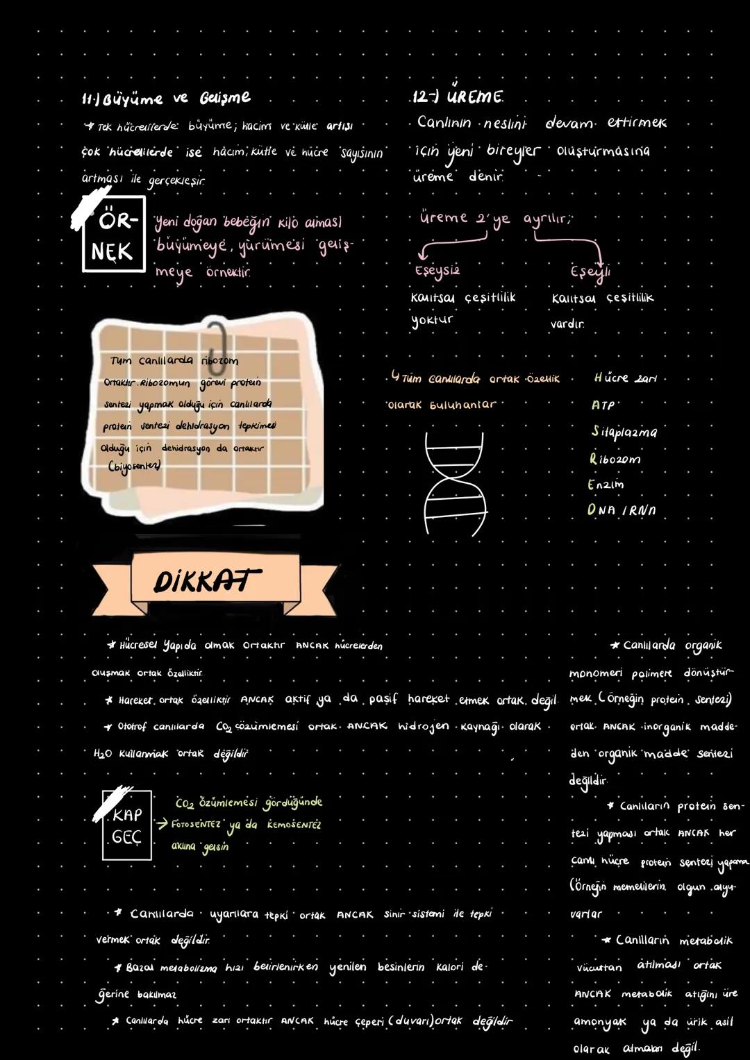 ~Biyoloji~
CANLILARIN ORTAK ÖZELLİKLERİ
Η Hicrem Yer
Beslenme
3) Salman
Bapalion
51 Hereket
6-) Uyerilera Tepai
7 metabolisma
8) Ho