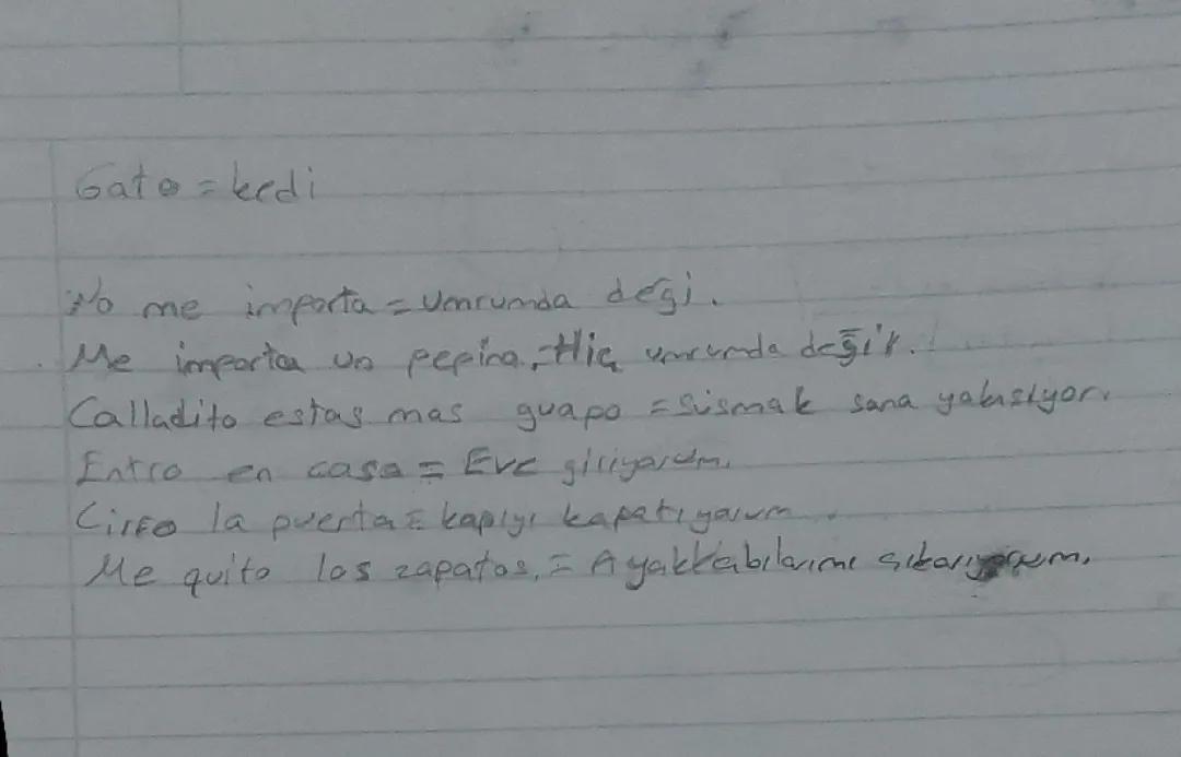 İspanyolca kısa cümleler hepinize kolay gelsin bay