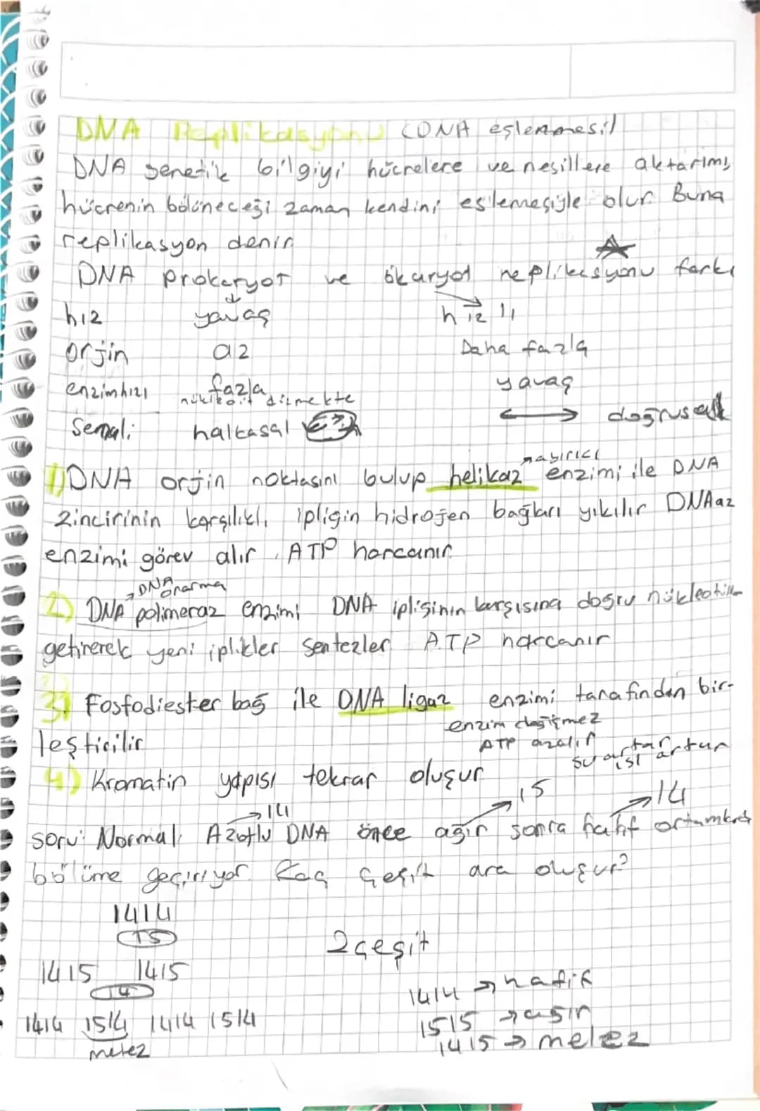 # BİYOLOJİ
## Nükleik Asitlerin Keşfi
- İlk olarak Friedrich Miescher tarafından nüklein adı
Verilen moleküllere günümüzde çekirdekte buluna