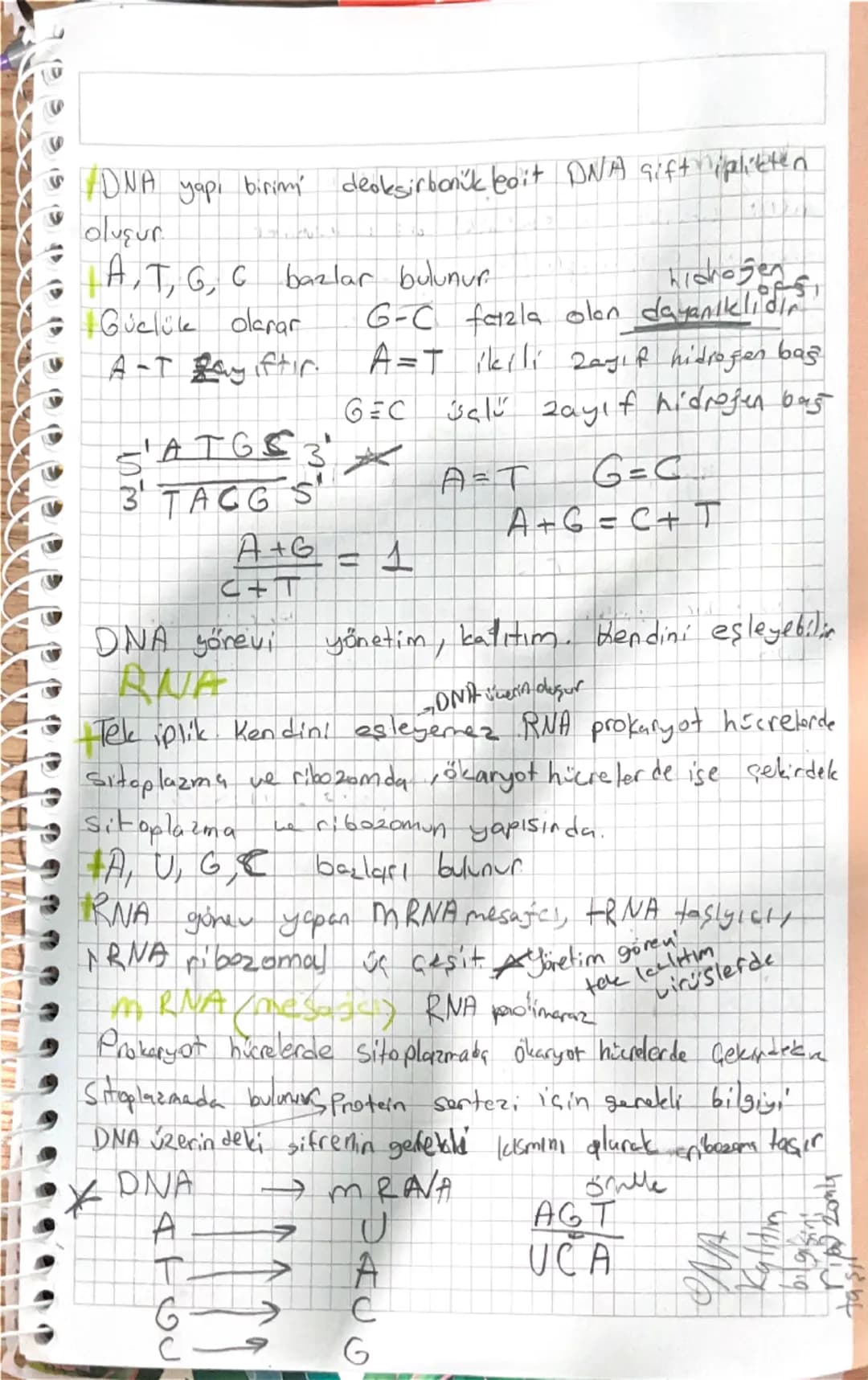 # BİYOLOJİ
## Nükleik Asitlerin Keşfi
- İlk olarak Friedrich Miescher tarafından nüklein adı
Verilen moleküllere günümüzde çekirdekte buluna