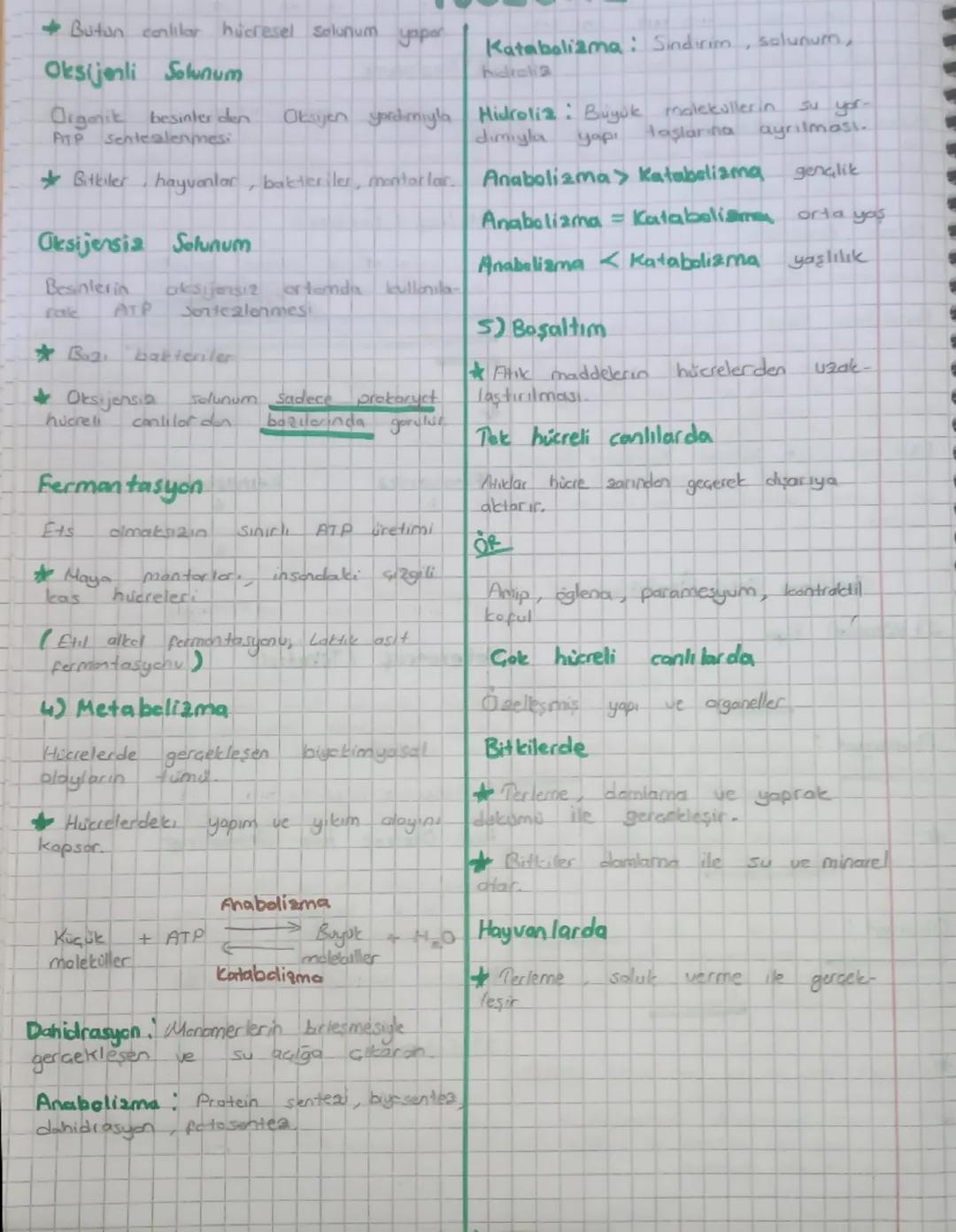 BİYOLOJİ
Biyoloji canlıların yapılarını ve işlev-
lerini
araştırır.
Mikroskopun icadı Hücrelerin keşfedilme
sini, mikroorganizmalom gözlemle