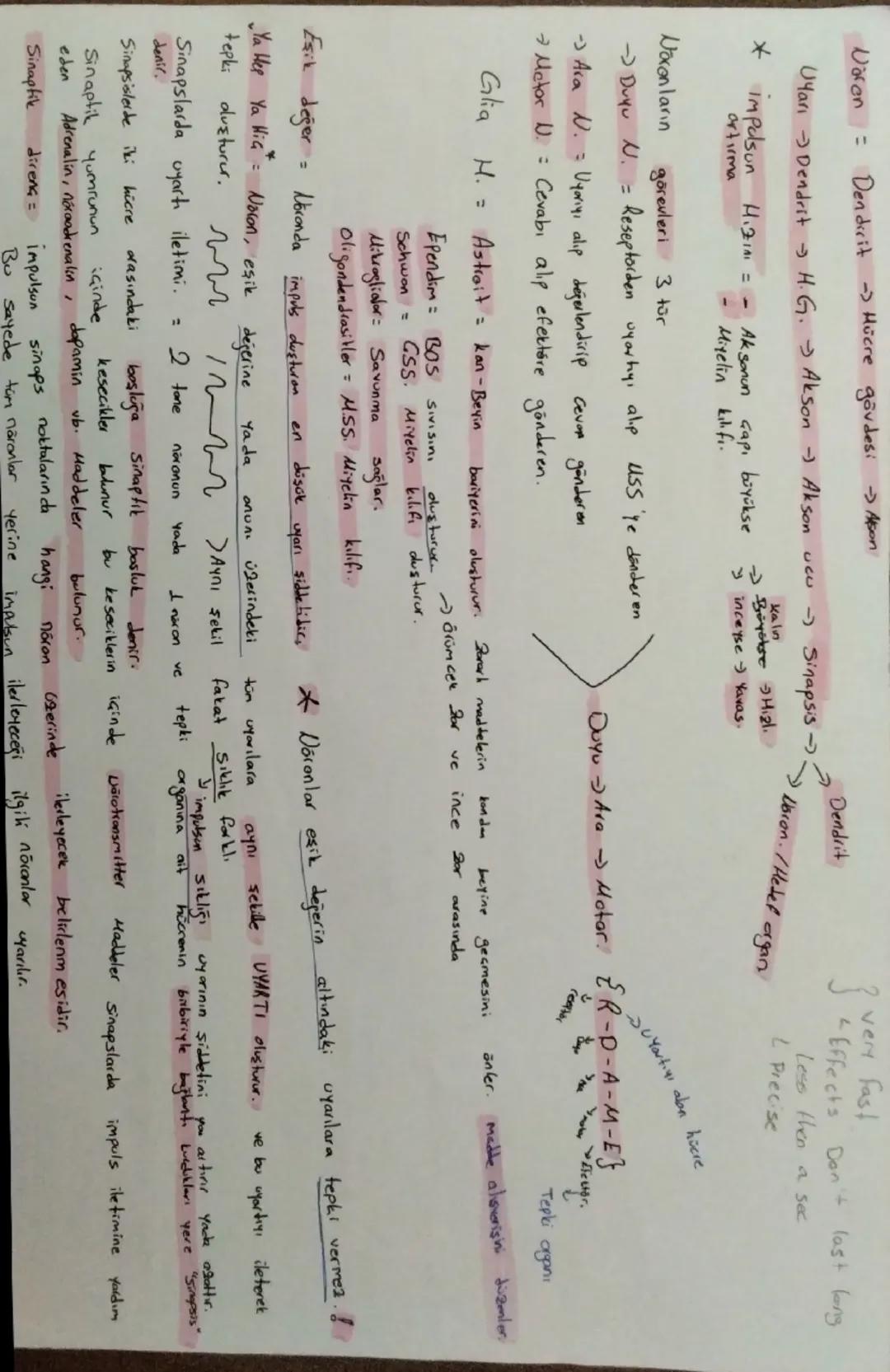Naren
=
Dendrit Hücre gövdes: Alson
Uyarı Dendrit H. G. Akson - Akson ucu - Sinapsis ->.
kaln
artırma
* impulson Hızını = -
Ak sonun
Gapı bü