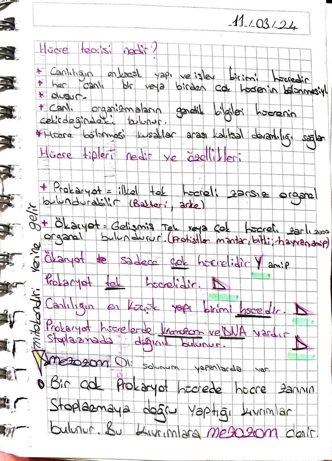 11/03/24
Hücre teorisi nedir?
* Canlitiğin en krask yapı ve işlev birimi hücredir
+ her
* oluşur.
+ Canl.
canl
bir veya birden cok hooren in