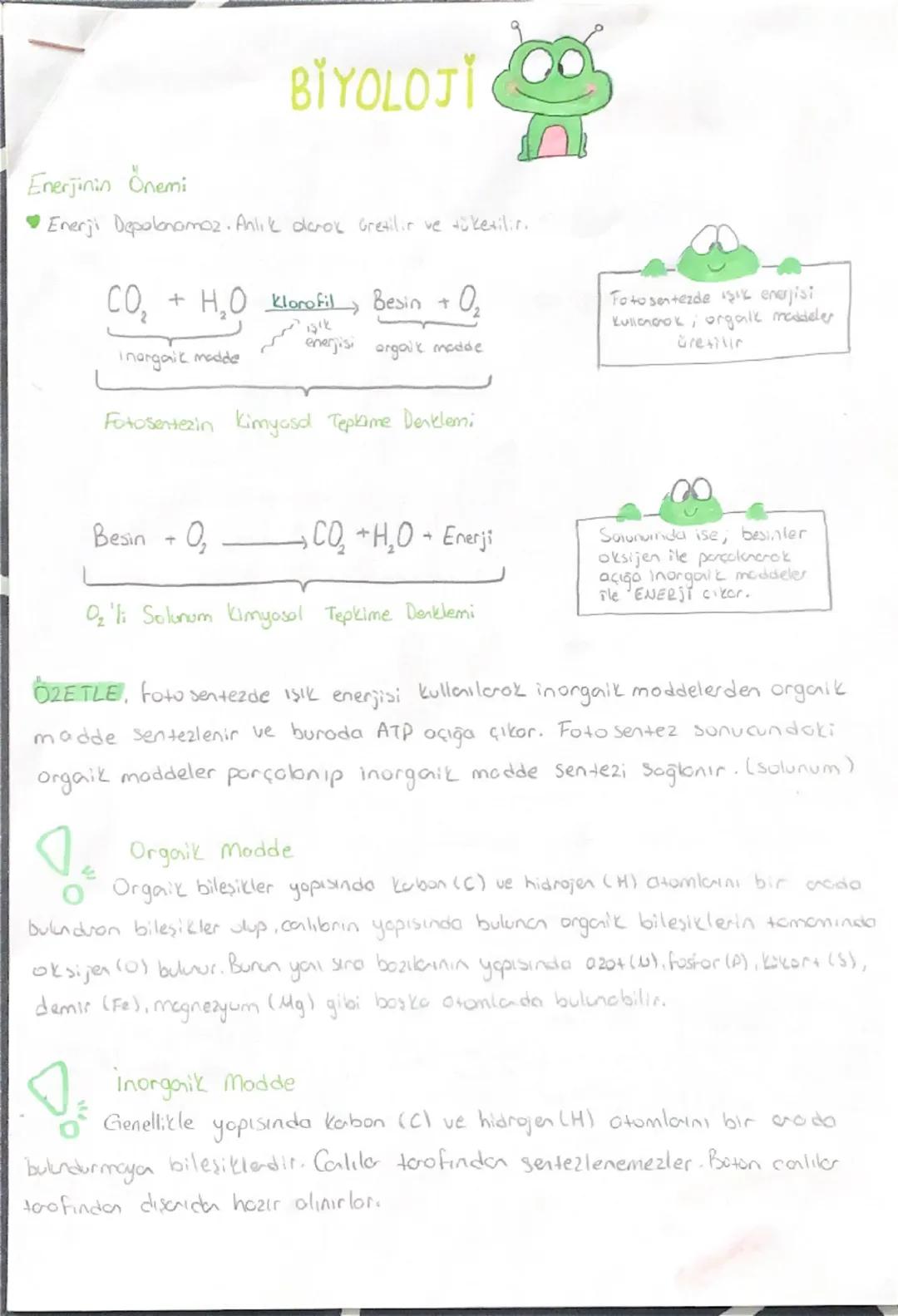 10. Sınıf biyoloji