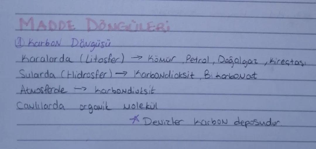 11 Coğrafya Karbon Döngüsü