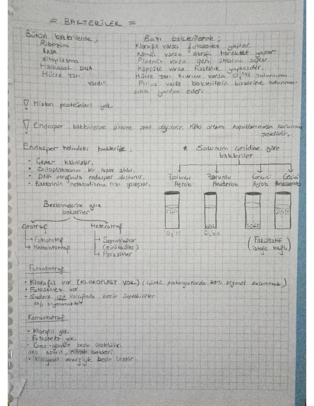 Canlılar Alemi (bakteriler ve arkeler)