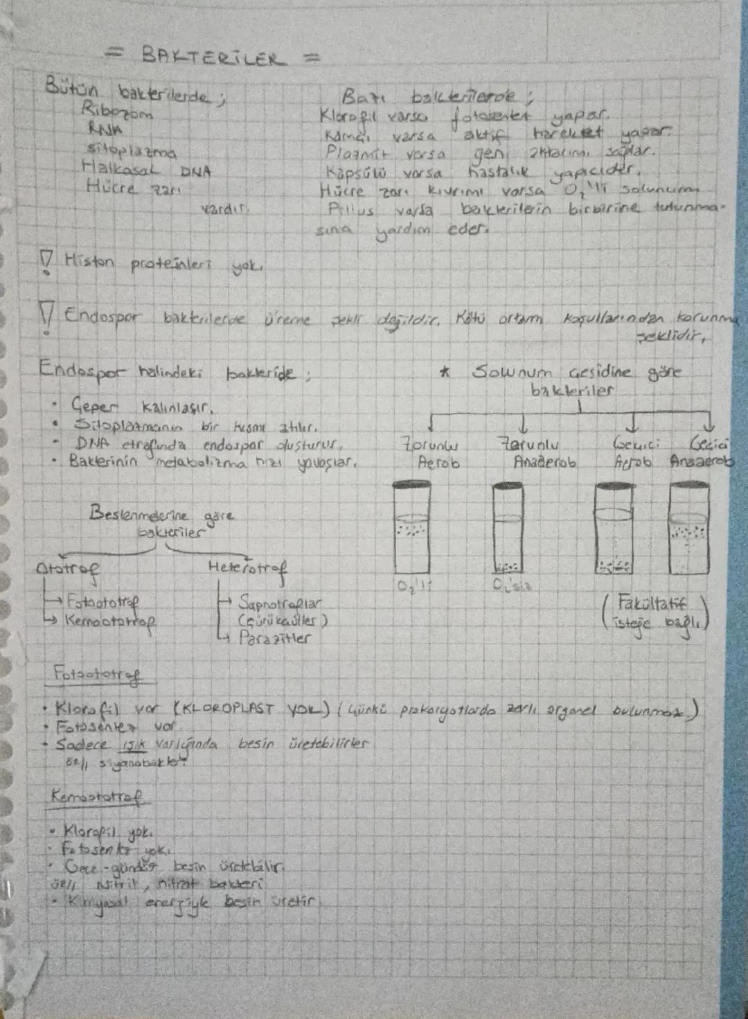 = BAKTERILER =
Bütün bakterilerde;
Riborom
ANA
sitoplazma
Halkasal DINA
Hücre zar
Bat
bakterilerde;
Klorofil varso fotosenter yapar.
varsa
K