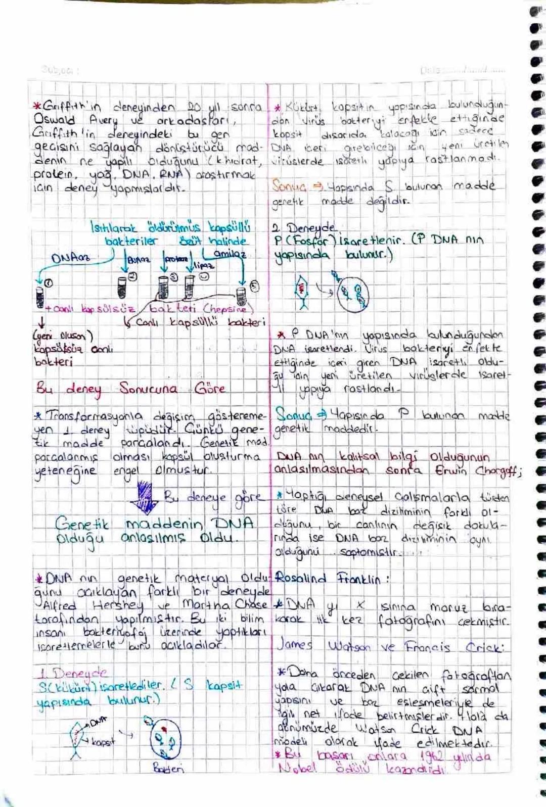 Subjest
D1
gendem proteine
we
bigoteknoloji
Insanları
Keşifte Rol Alan Bazı
Bilim
Kapsüllü Bakteri Hastalık yapar
Kapsülsüz -
yapmaz.
Deneyi