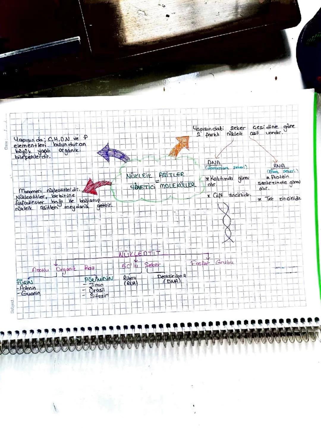 Subjest
D1
gendem proteine
we
bigoteknoloji
Insanları
Keşifte Rol Alan Bazı
Bilim
Kapsüllü Bakteri Hastalık yapar
Kapsülsüz -
yapmaz.
Deneyi