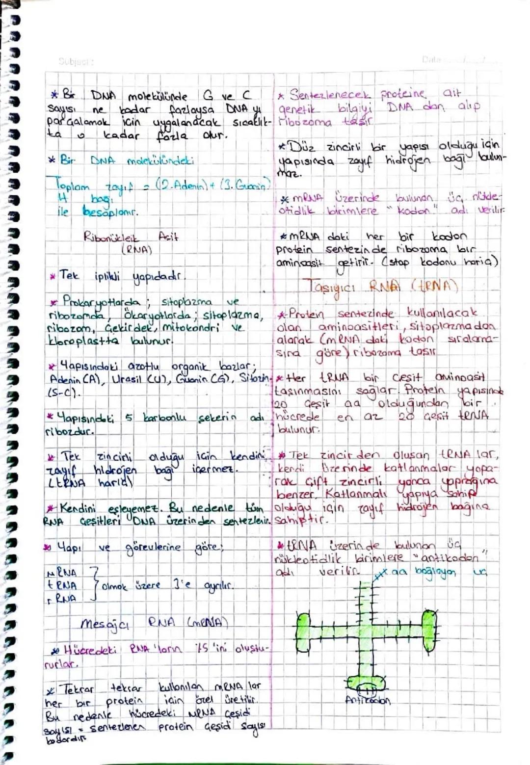 Subjest
D1
gendem proteine
we
bigoteknoloji
Insanları
Keşifte Rol Alan Bazı
Bilim
Kapsüllü Bakteri Hastalık yapar
Kapsülsüz -
yapmaz.
Deneyi