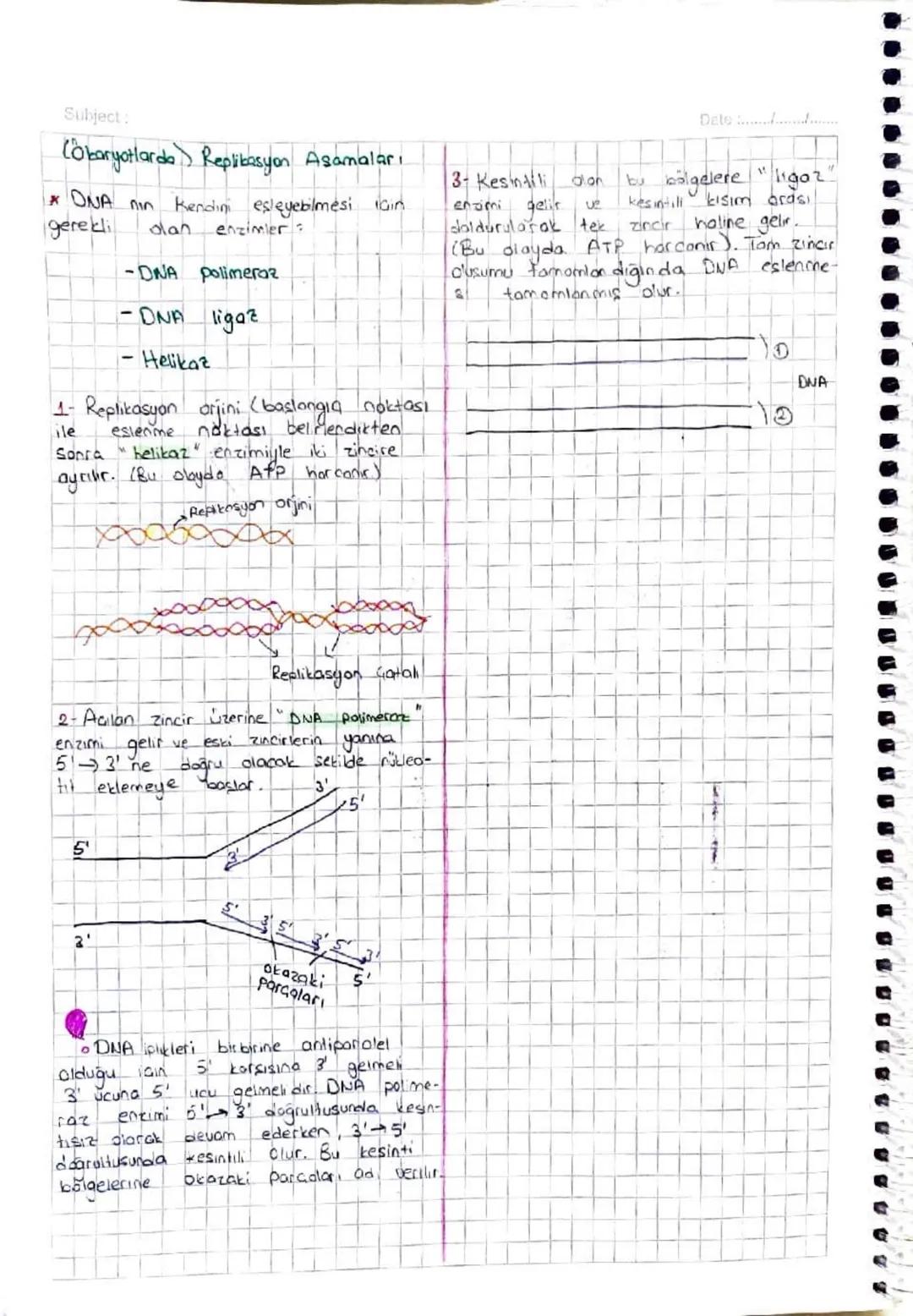Subjest
D1
gendem proteine
we
bigoteknoloji
Insanları
Keşifte Rol Alan Bazı
Bilim
Kapsüllü Bakteri Hastalık yapar
Kapsülsüz -
yapmaz.
Deneyi
