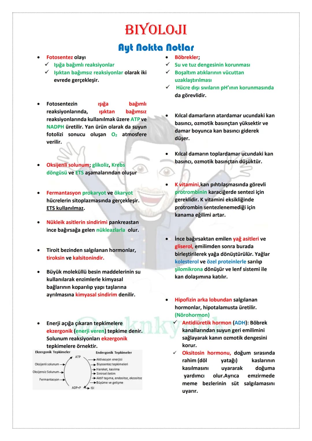 BİYOLOJİ
NOKTA NOTLAR
TYT
@erknkynbkn # BIYOLOJI
## Tyt Nokta Notlar
* Süngerler yer değiştirmeyen hayvanlardır.
* Kemikli balıklarda hareke