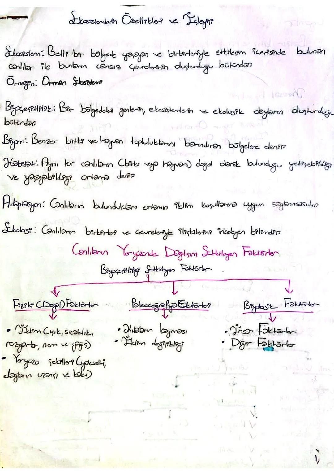 Ekosistemin özellikleri ve işleyişi