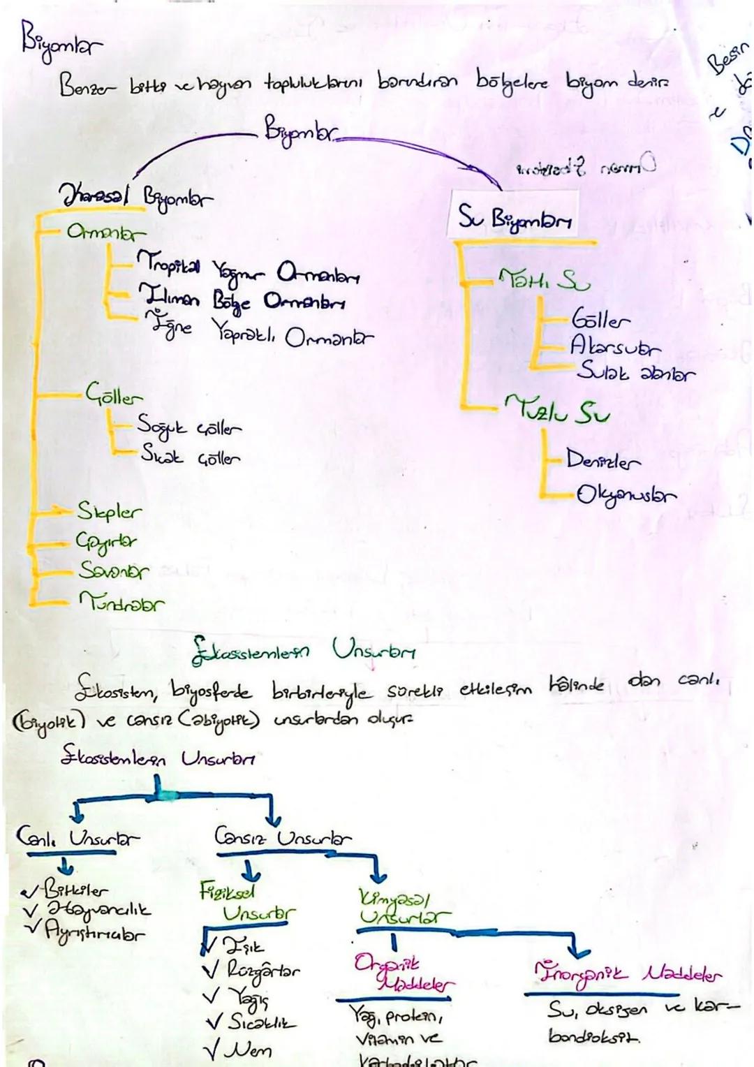 # Ekosistenten Özellikleri ve Isleyni
Sloopstem: Belli bir bölgede yaşayan ve birtarteriyle etkilerem içerisinde bulunan
canlılar ile buntb