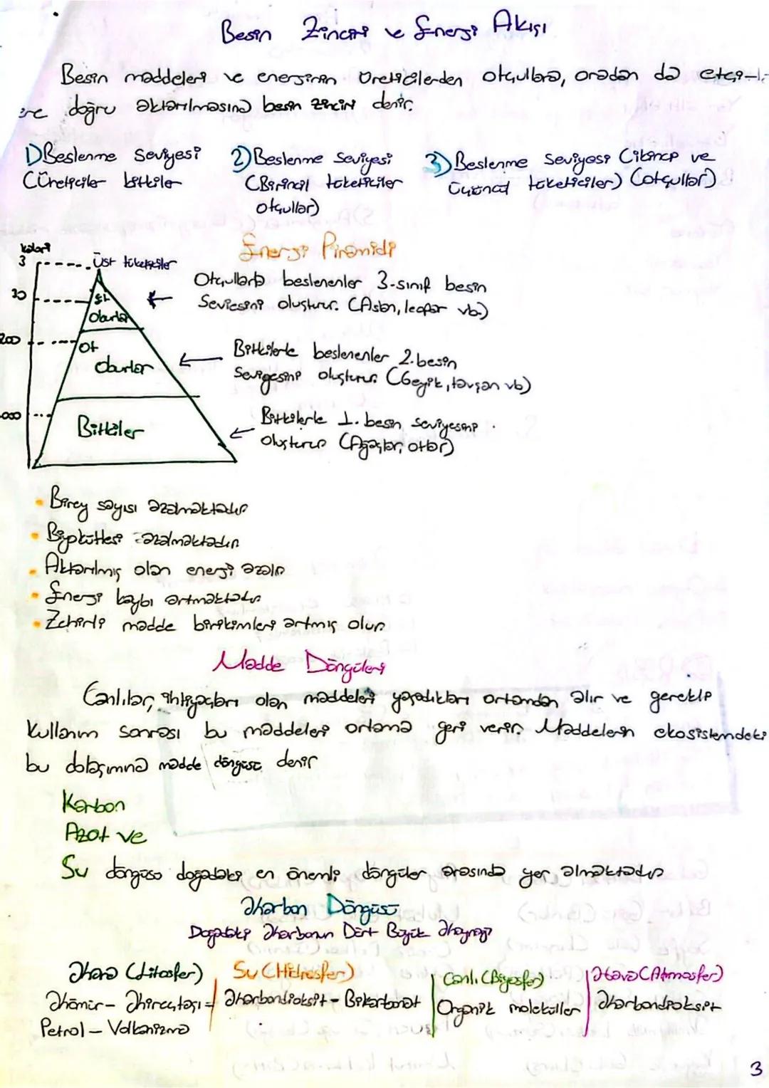 # Ekosistenten Özellikleri ve Isleyni
Sloopstem: Belli bir bölgede yaşayan ve birtarteriyle etkilerem içerisinde bulunan
canlılar ile buntb