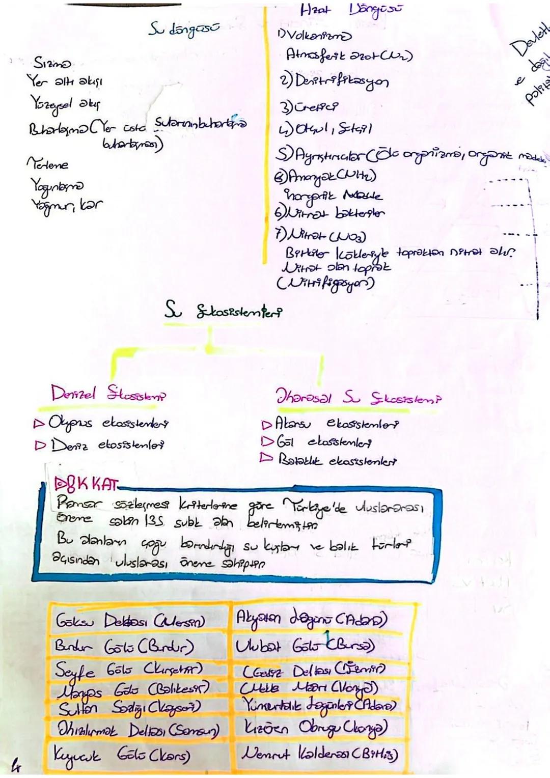 # Ekosistenten Özellikleri ve Isleyni
Sloopstem: Belli bir bölgede yaşayan ve birtarteriyle etkilerem içerisinde bulunan
canlılar ile buntb