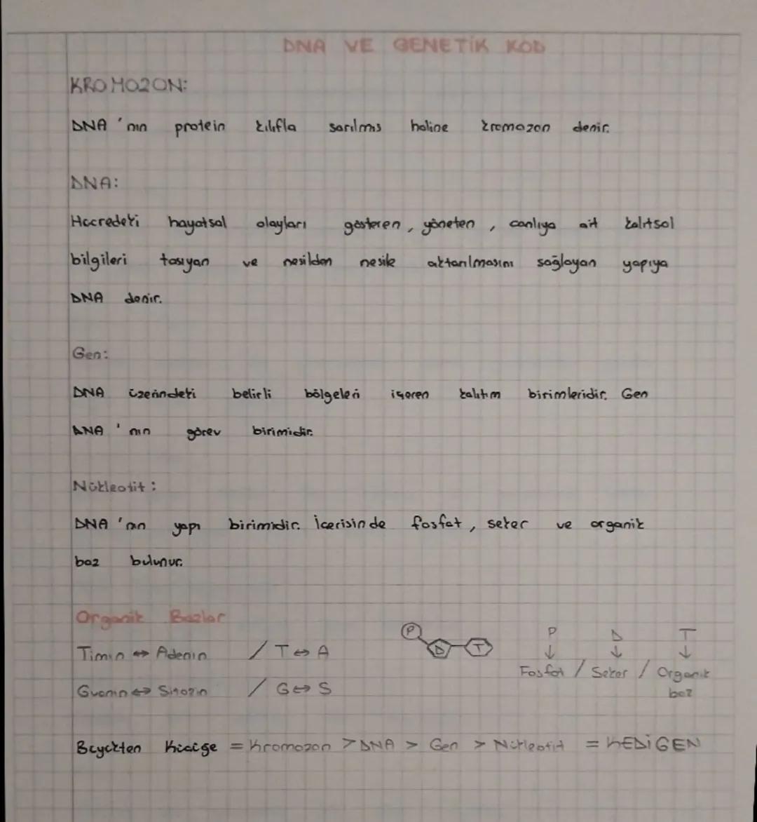 Dna ve genetik kod , kalıtım , çaprazlama